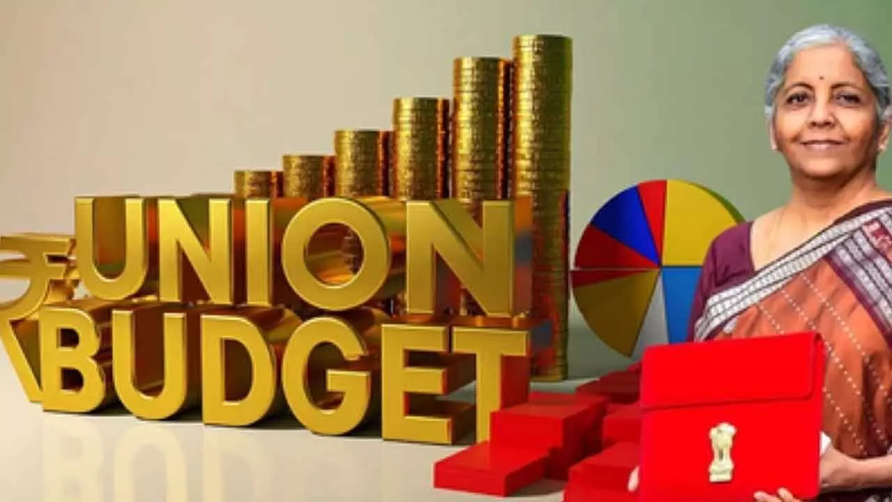 Budget aims to rebuild India’s EM appeal