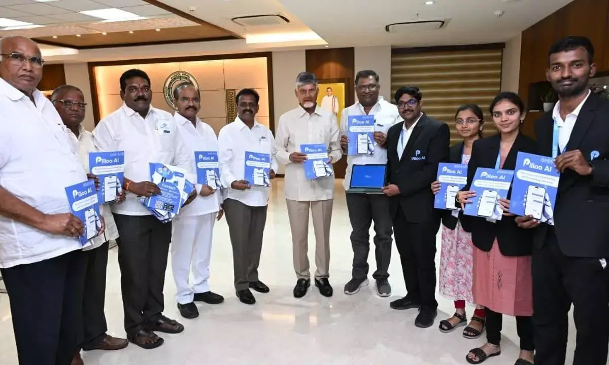 AP bets on voice-led Pilloo AI for MSMEs