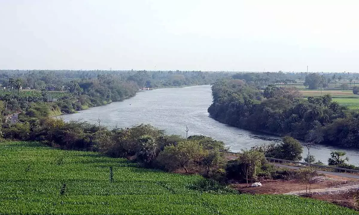Reviving the Buckingham Canal: Restoring a forgotten lifeline of the Coromandel Coast