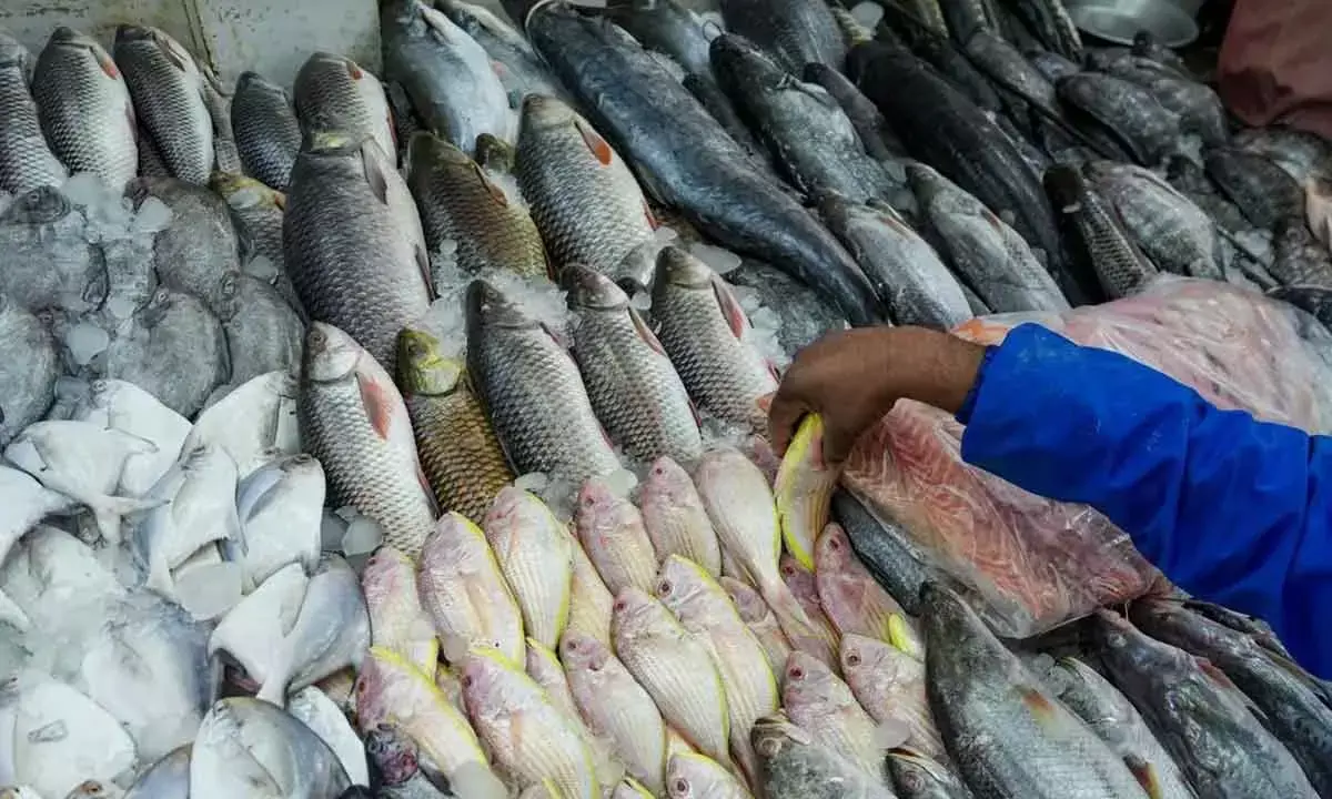 Seafood exports, Specialty chemical stocks rallies 20%