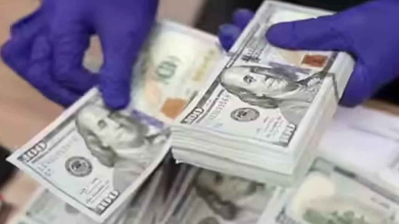 Dollar weakness could boost FPI inflows as rupee steadies: Report