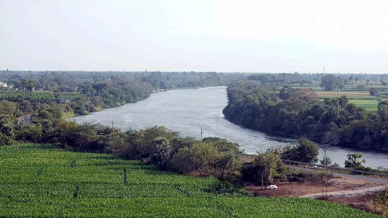 Reviving the Buckingham Canal: Restoring a forgotten lifeline of the Coromandel Coast Reviving the Buckingham Canal: Restoring a forgotten lifeline of the Coromandel Coast