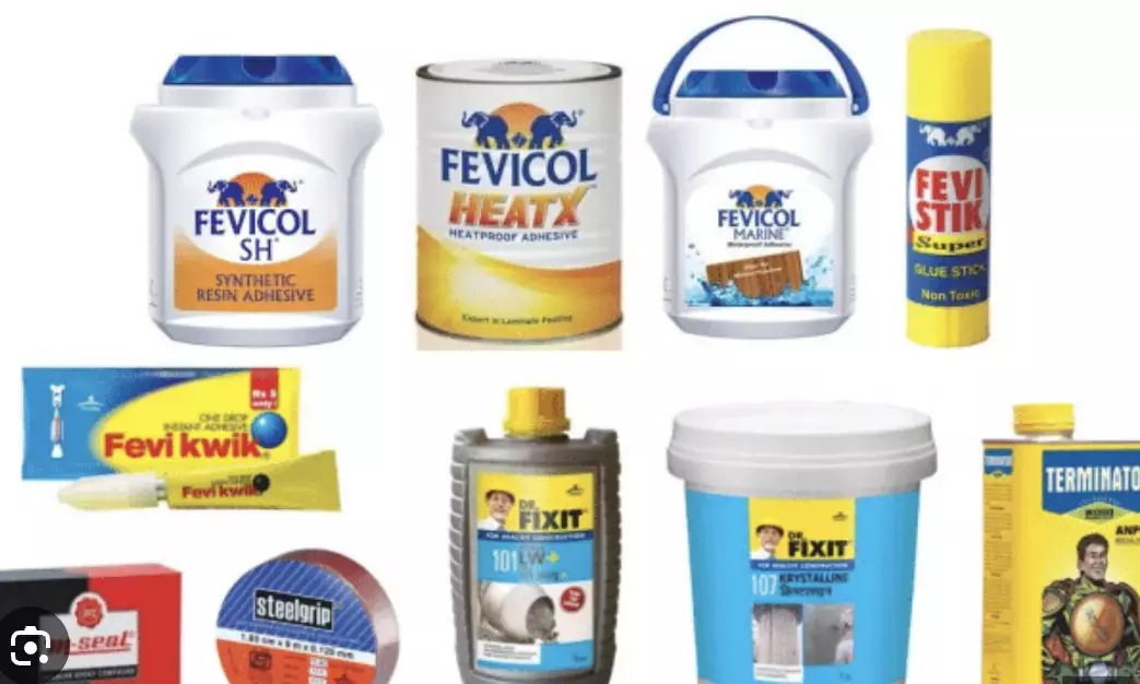 Pidilite Industries MD sees sustained double-digit growth