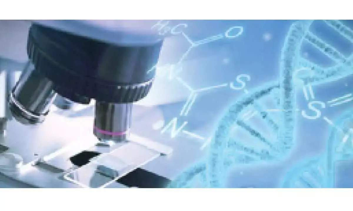 AIIMS docs conduct remote ultrasound scans on volunteers in Antarctica