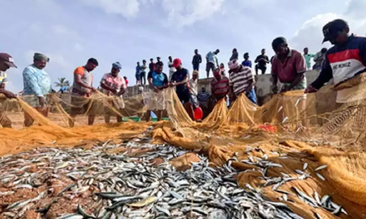 Seafood exports to rebound after trade deals with USA, UK; may achieve $12 bn by 2030