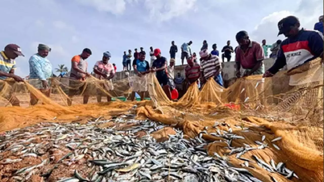 Seafood exports to rebound after trade deals with USA, UK; may achieve $12 bn by 2030