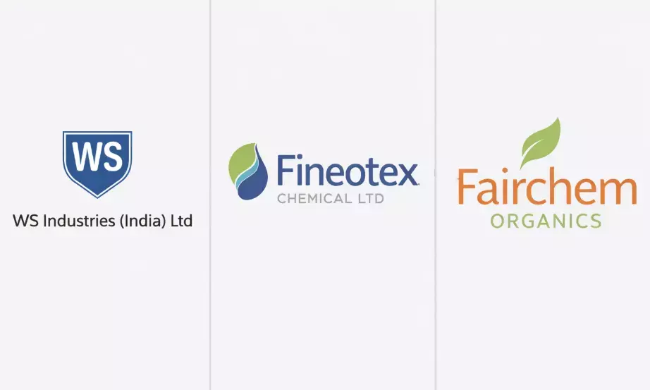 FII raise stakes significantly in 3 stocks this January