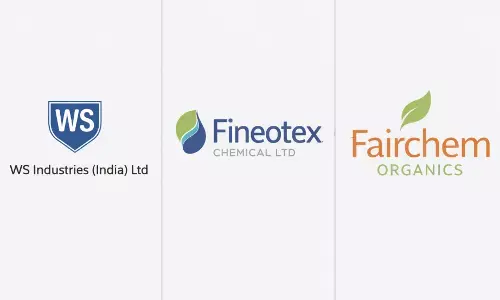 FII raise stakes significantly in 3 stocks this January