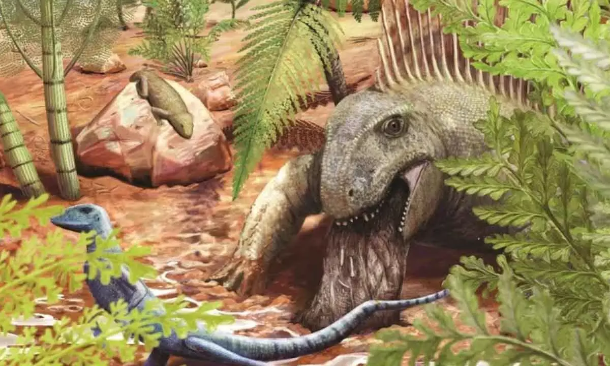 World’s oldest terrestrial regurgitalith identified at Germany’s Bromacker site