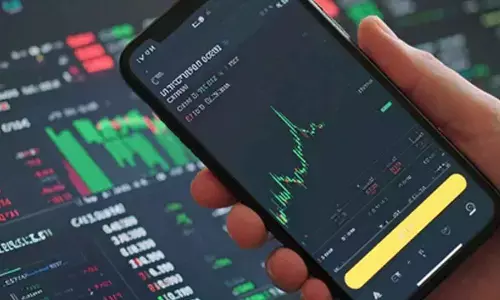 DIIs solidify their dominance on Indian equities, reach 20.6% ownership