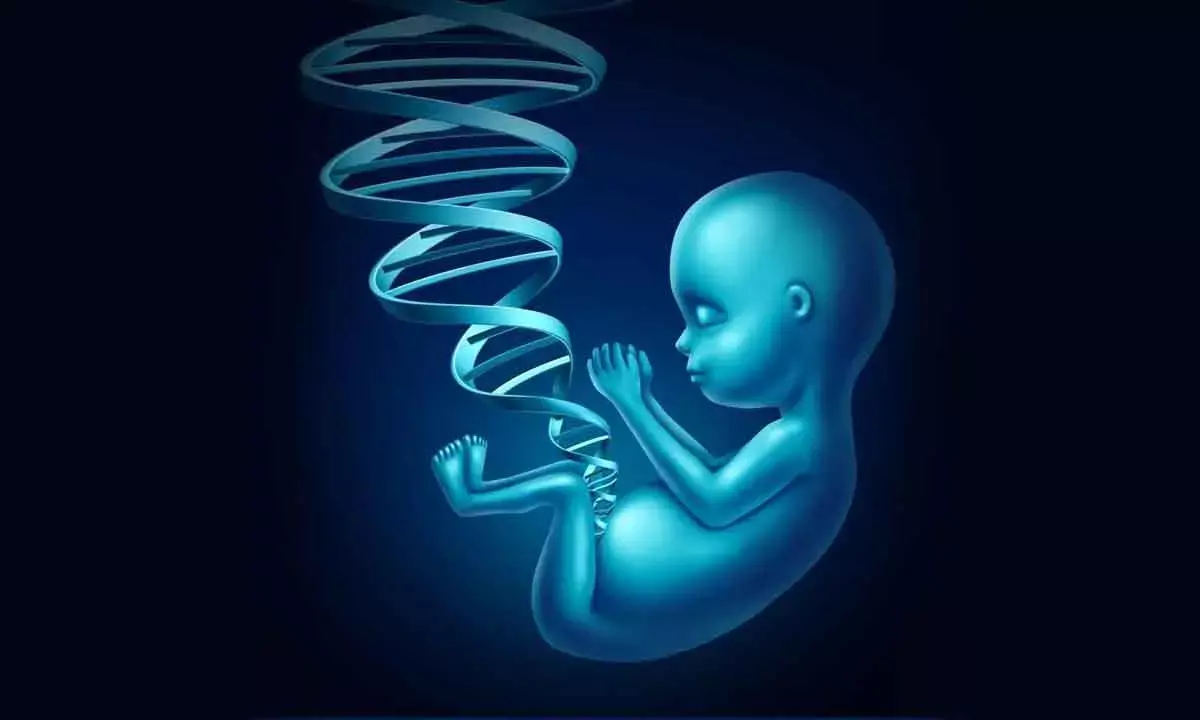 The ‘Best Baby’ algorithm: Silicon Valley’s gene gamble in IVF