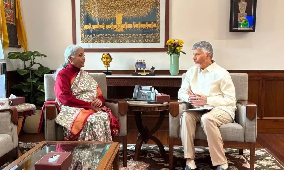 Naidu meets FM, seeks support for mega projects