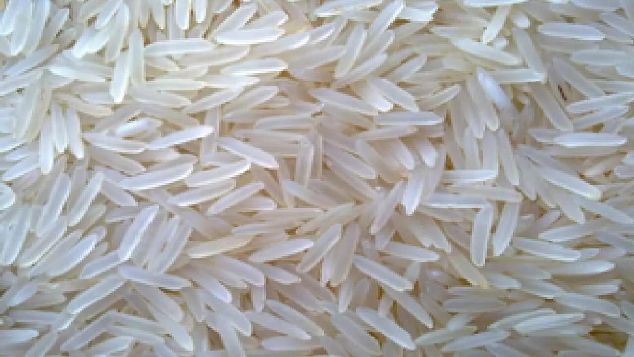 India named Country of the Year at Germany’s BIOFACH 2026