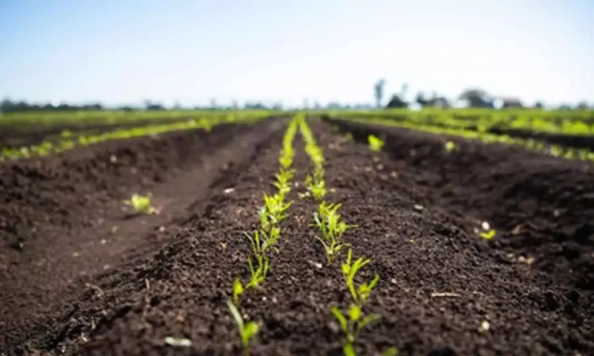 Quad launches AI farm projects with $2.4mn investment