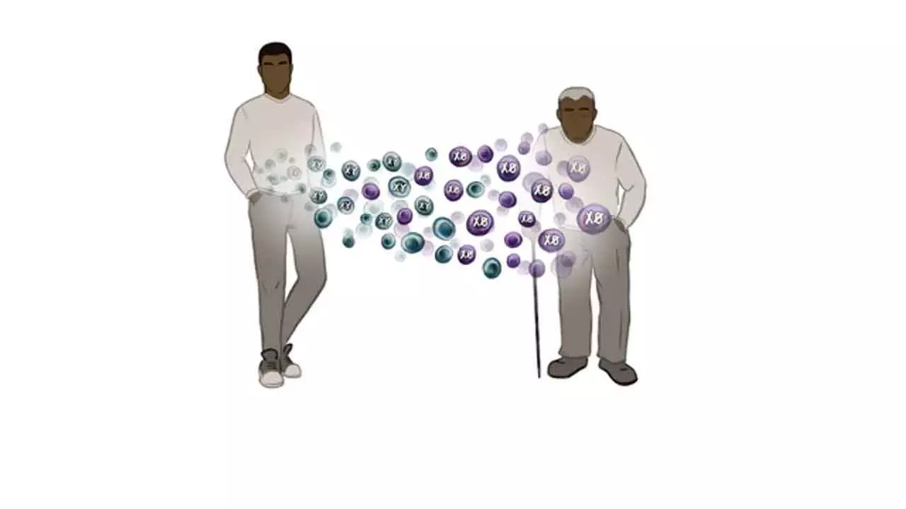 Men lose their Y chromosome with age and it may be deadly Men lose their Y chromosome with age and it may be deadly