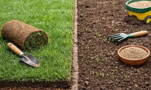 Lay Turf vs Seed: Which Is Better? A Complete Guide to Choosing the Right Lawn Establishment Method Lay Turf vs Seed: Which Is Better? A Complete Guide to Choosing the Right Lawn Establishment Method