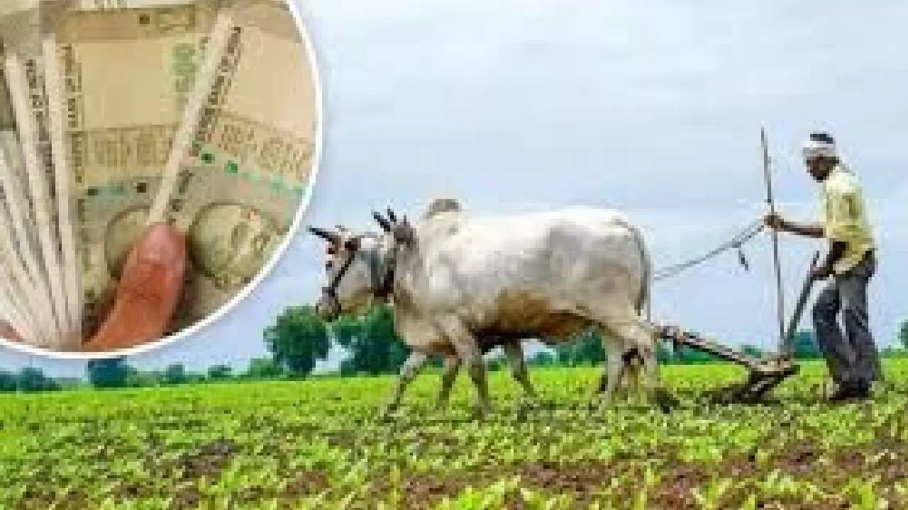 Centre releases over Rs 3,324 cr for rural local bodies in 5 states Centre releases over Rs 3,324 cr for rural local bodies in 5 states