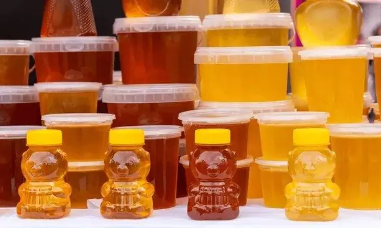 Single-Origin vs. Blended Honey: What to Look for When Browsing Honey for Sale