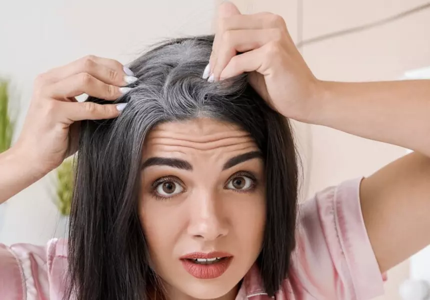 Premature greying explained: Why It happens early and whether It can be reversed Premature greying explained: Why It happens early and whether It can be reversed