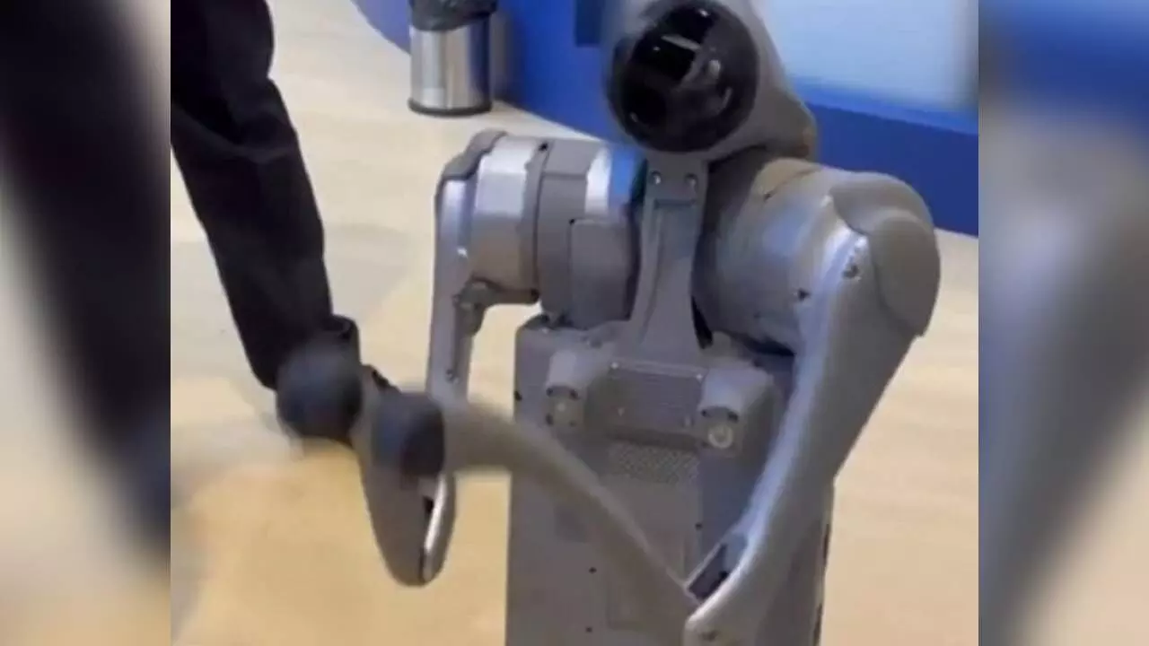 Wipro distances from robot dog row