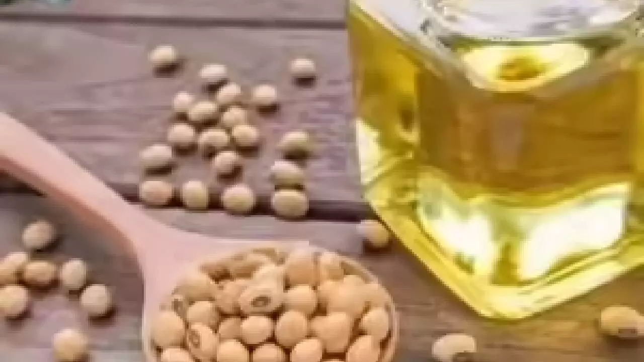 Indias oilmeals exports fall by 42% last month