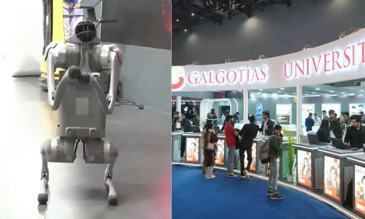 Beyond the Galgotias’ robodog, the AI Summit delivered