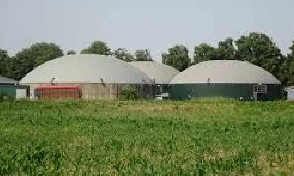 Excise waiver for biogas blending can unlock `1L cr investment: IBA