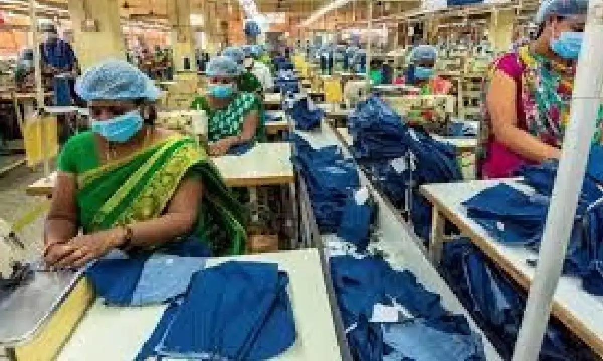 Apparel exports up 1.6% in April-Jan period, says report