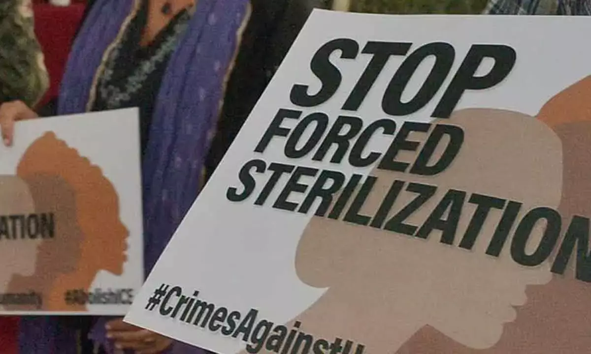 New Mexico opens probe into forced sterilisation of Native American women
