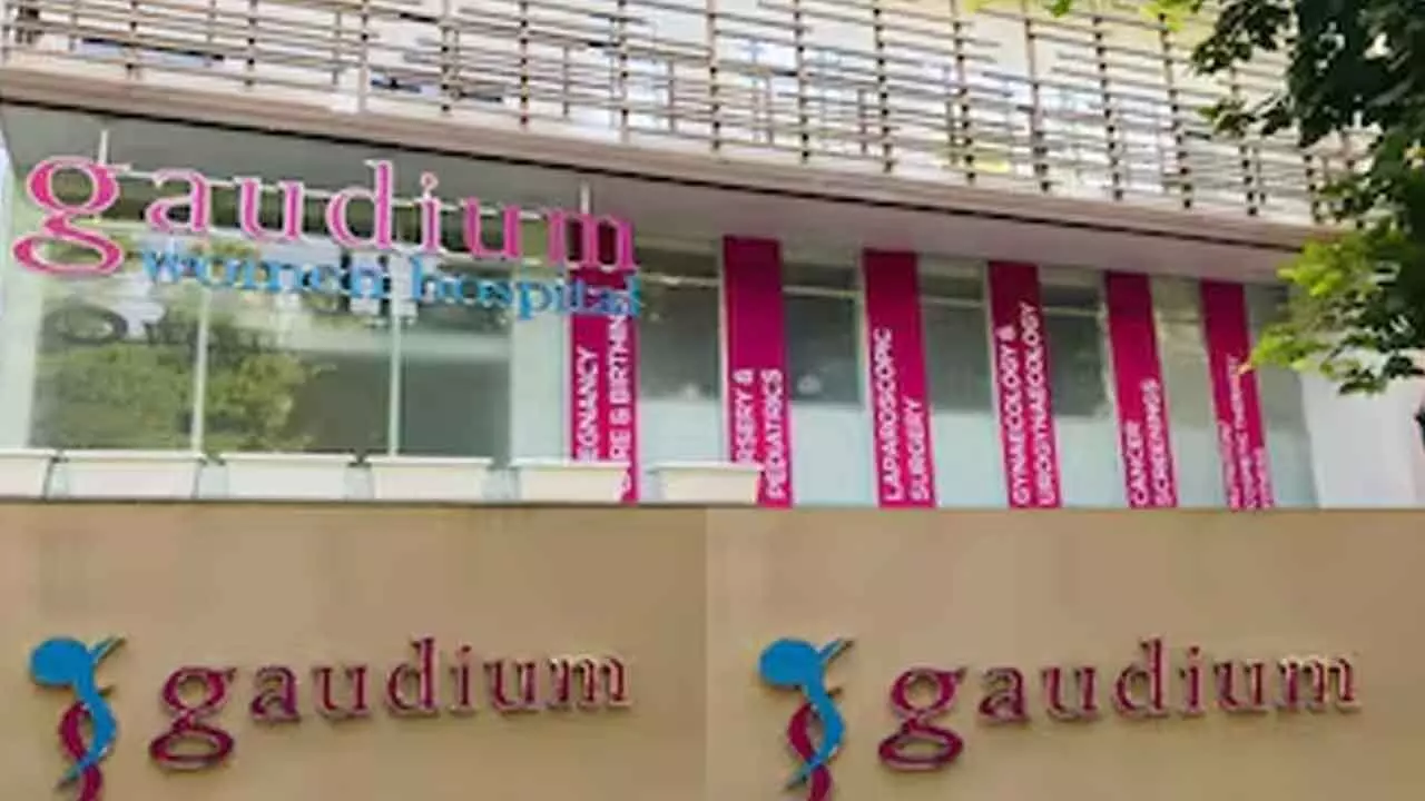 Gaudium IVF’s IPO gets fully Gaudium IVF’s IPO gets fully