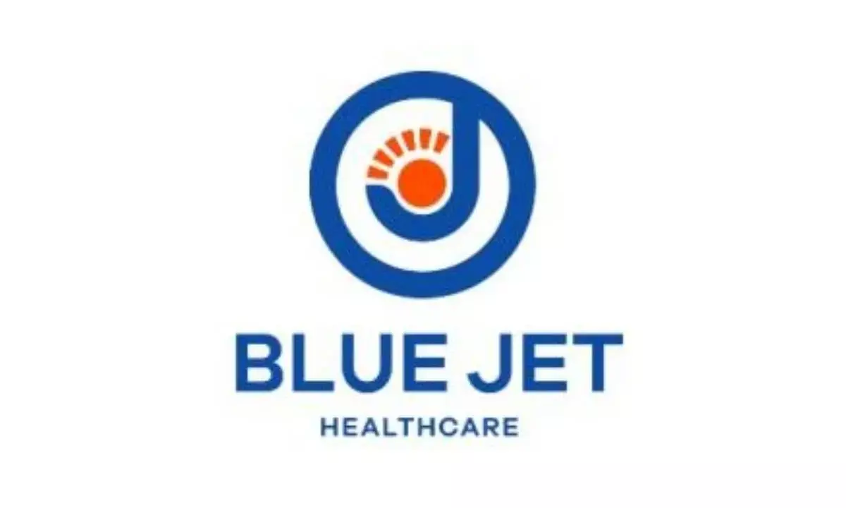 Blue Jet bets Rs 2,300 crore on Vizag greenfield pharma hub