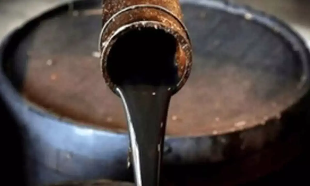 India has ample stocks of crude oil, petro products to tide over Iran crisis