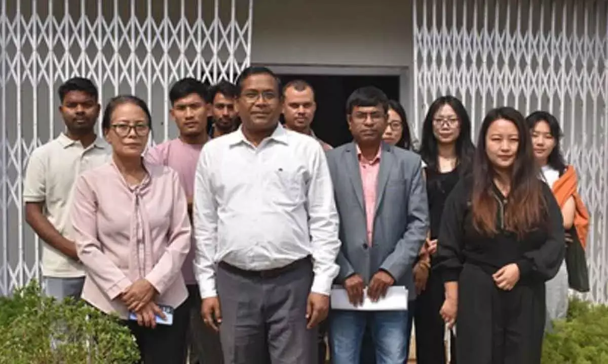 Nagaland varsitys study highlights genetic richness of wild banana