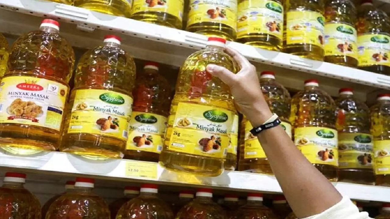 Indias edible oil and fertiliser imports at risk due to Iran war Indias edible oil and fertiliser imports at risk due to Iran war