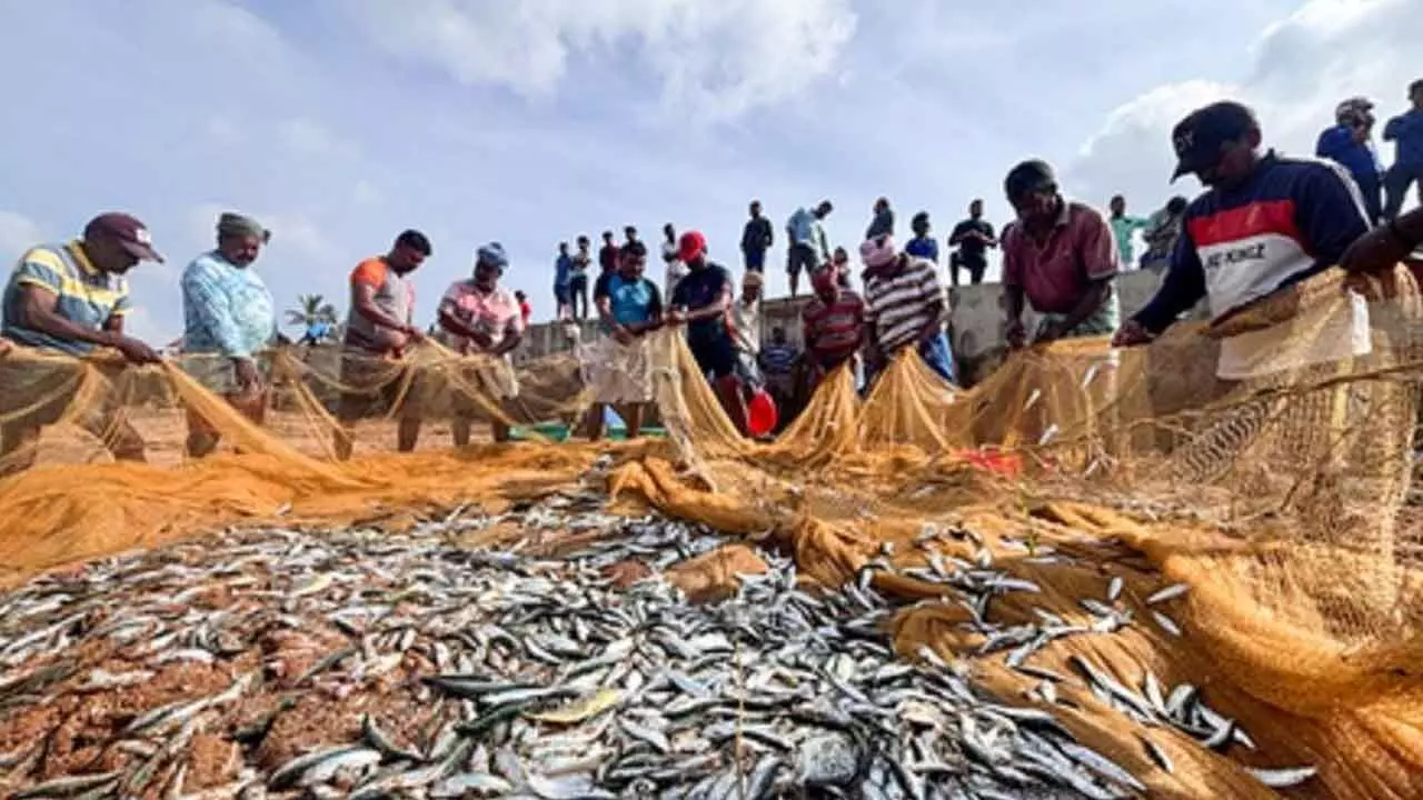 GPS devices boost fishing yields, nutrition in Car Nicobar: Ministry