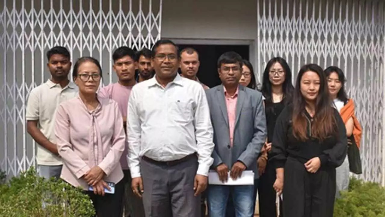 Nagaland varsitys study highlights genetic richness of wild banana