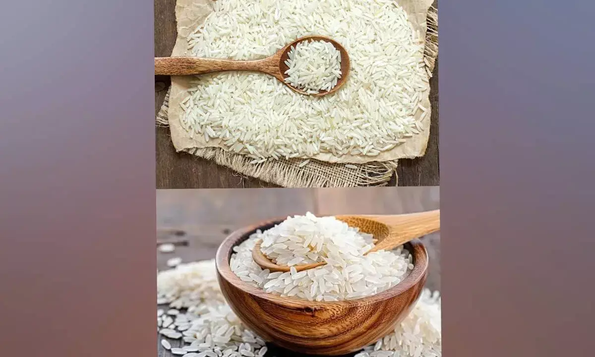 Iran crisis disrupts rice exports; industry seeks govt support