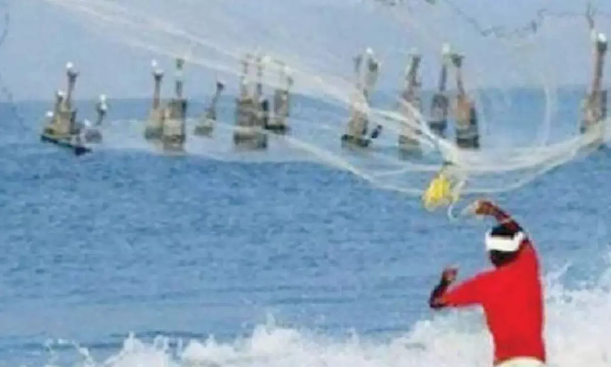 AP asks aqua farmers not to panic amid West Asia crisis