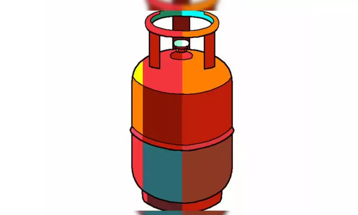 Centre allocates Rs 30K cr to support LPG subsidy