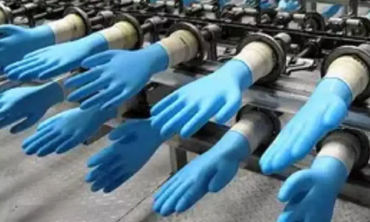 Glove unit at AMTZ forced to shut down