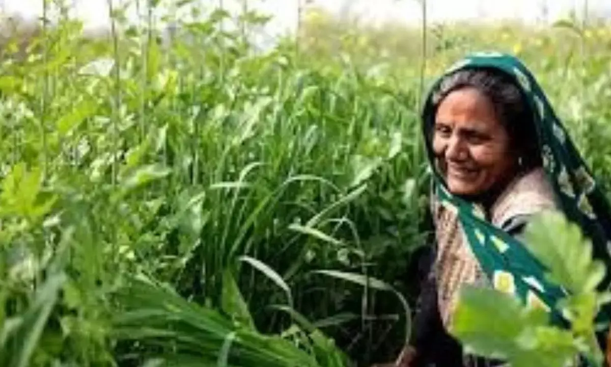 Women in agri-food sector should get greater role: Prez Murmu