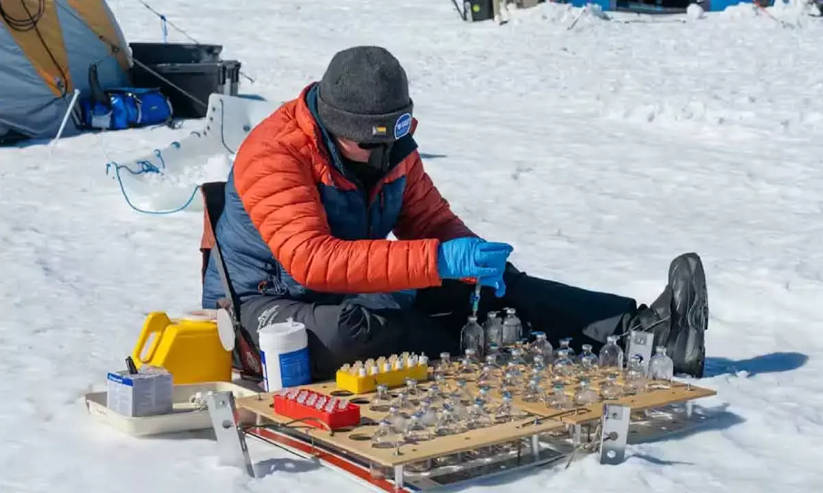 Antarctic microbes ‘eat’ air to survive extreme cold