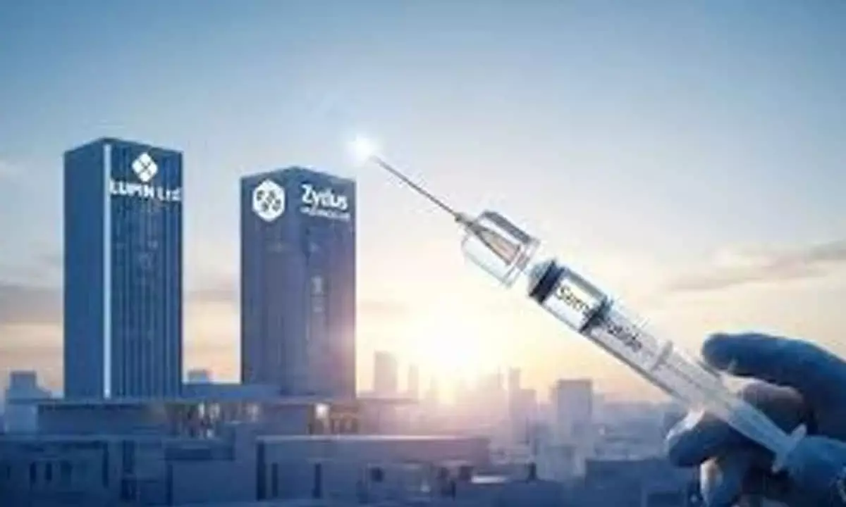 Zydus, Lupin ink pact to co-market diabetes drug