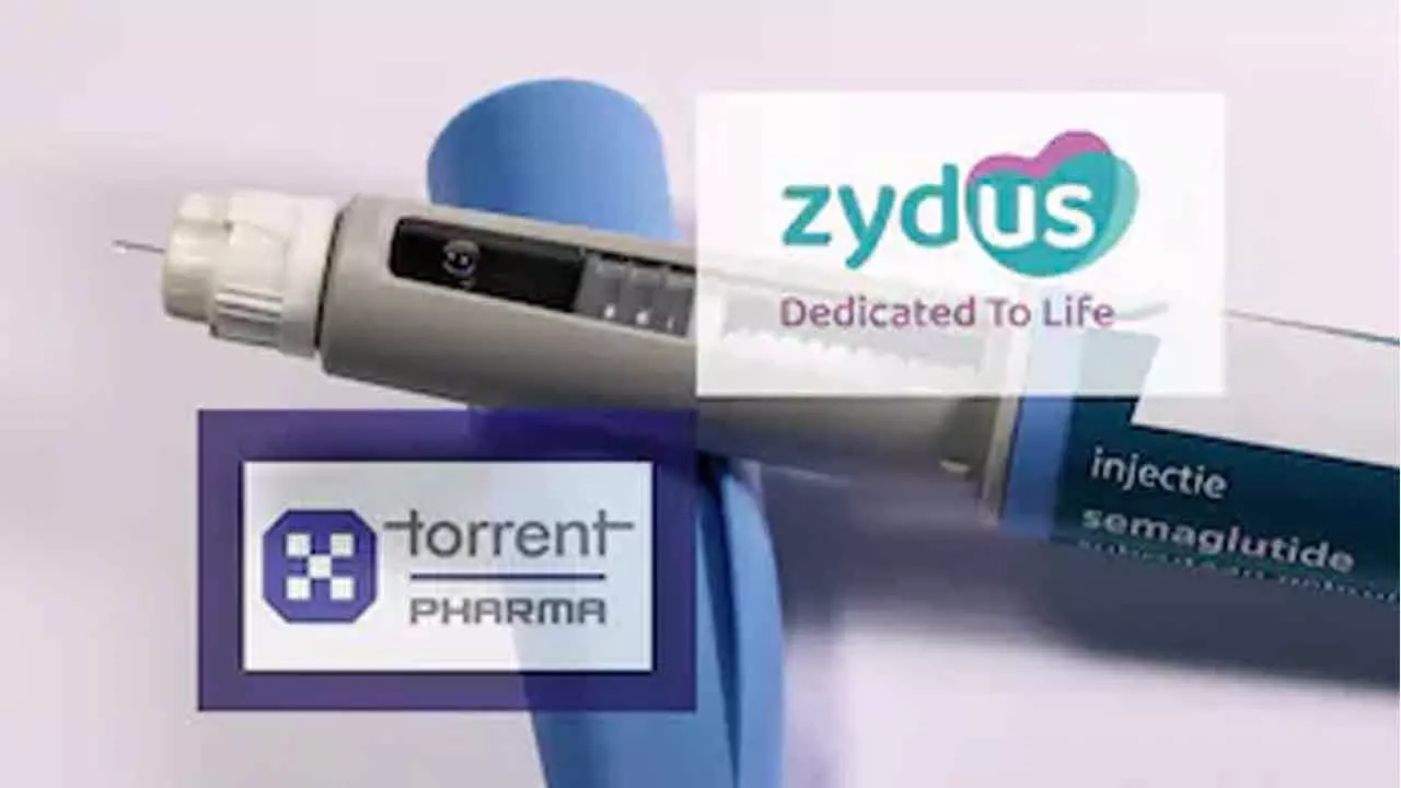 Zydus, Torrent to co-market Semaglutide injection