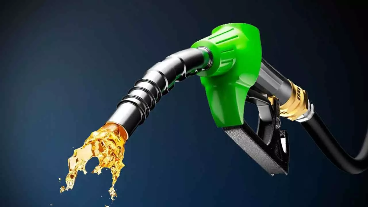 OMC stocks slump up to 7%