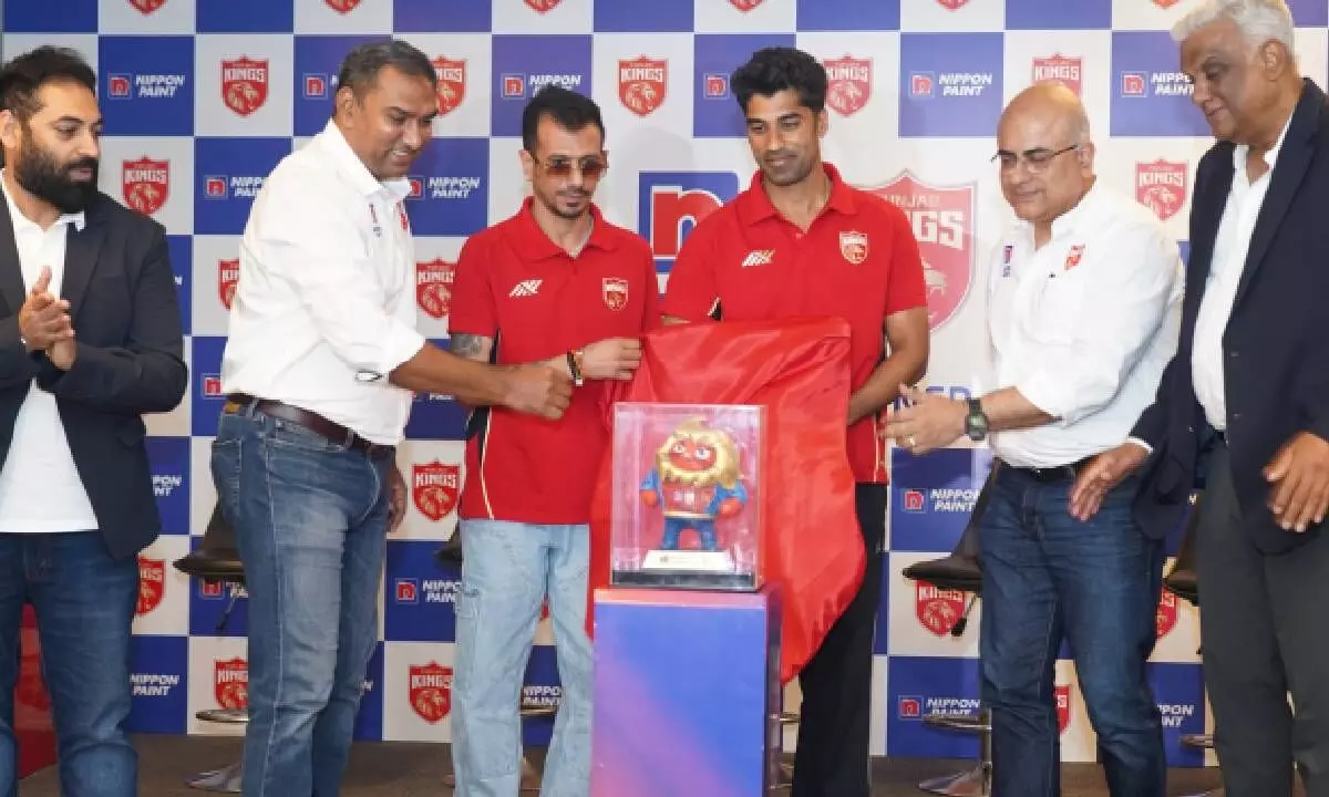 Nippon Paint India teams up with Punjab Kings