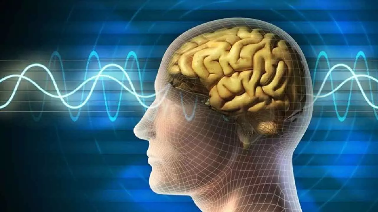 Energy imbalance in brain, blood cells may lead to fatigue in depression: Study