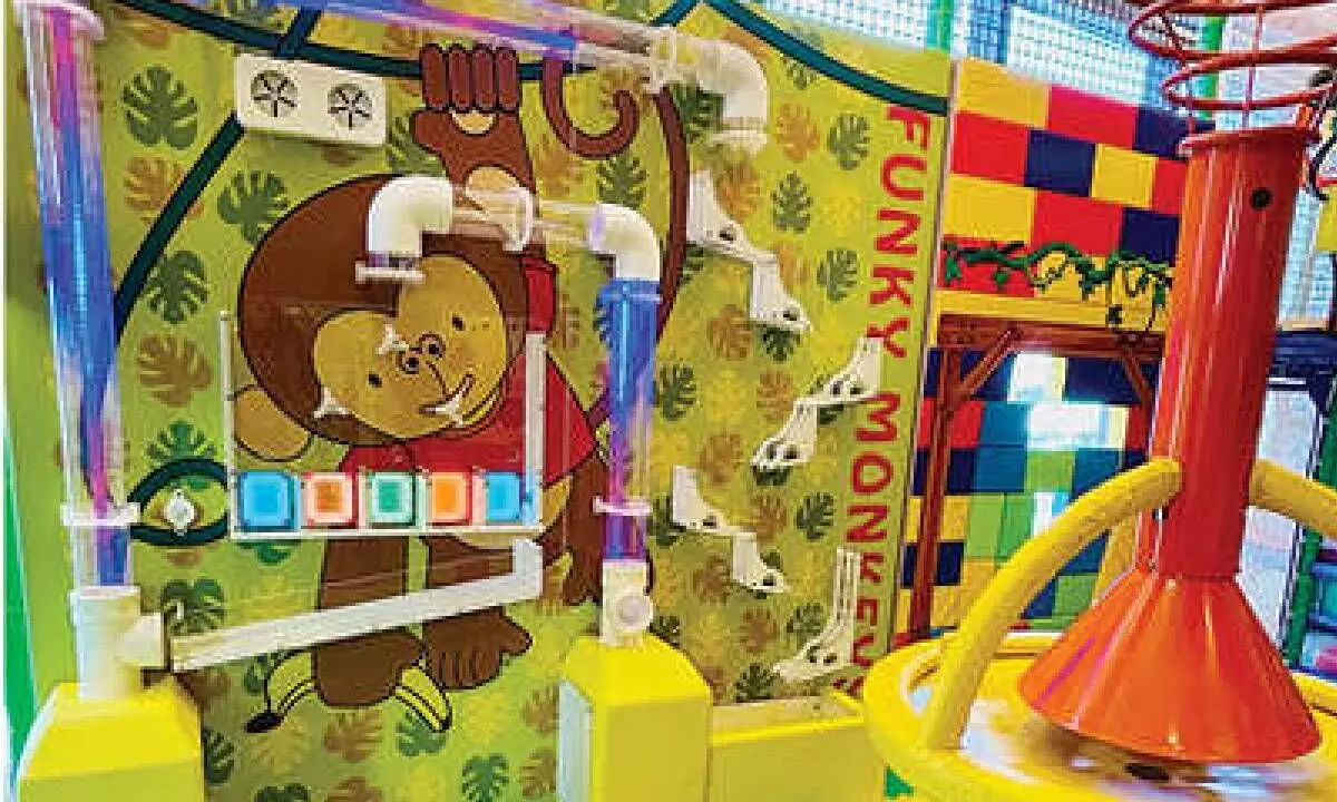 Funky Monkeys opens new centre in Hyd