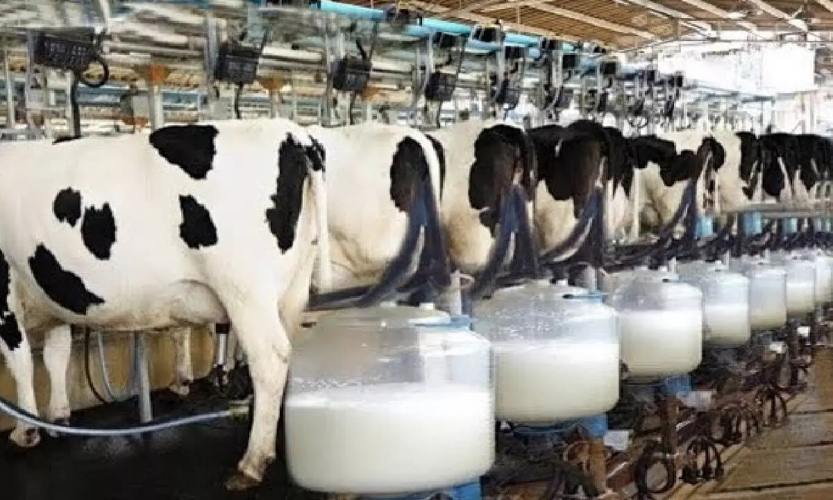 Indias milk production reaches 247 MT last year: Official