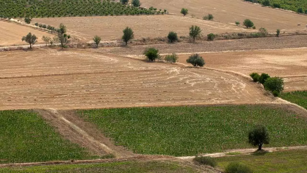 Godrej Properties, Lodha acquire over 25 land parcels